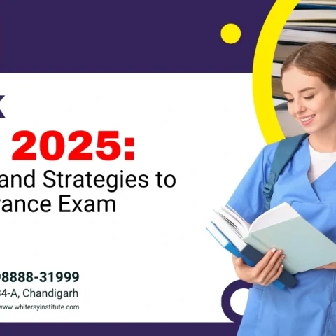 NEET 2025 preparation tips and strategies to ace the entrance exam with expert guidance.