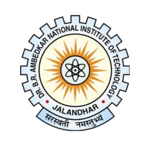 NIT Jalandhar logo displayed on the WhiteRay Institute website service page
