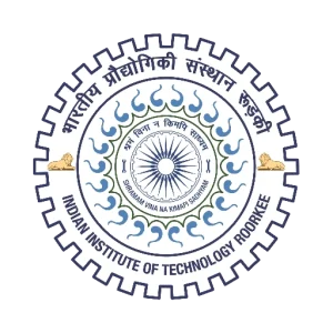 IIT Roorkee logo displayed on the WhiteRay Institute website service page