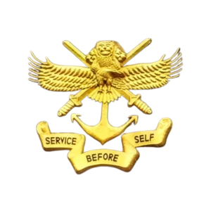 NDA Khadakwasla logo displayed on the WhiteRay Institute website service page