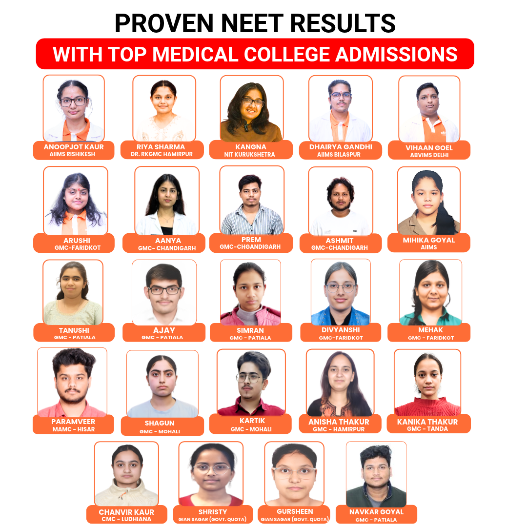 Hero Banner - WhiteRay 2026 Neet Results - Mobile Responsive (3)